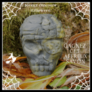 Joyeux-concours-Halloween-1-1-23609753-500x500-46f75c87